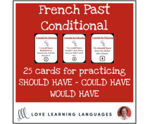 French Past Conditional - Should have, Could have, Would have Distance Learning