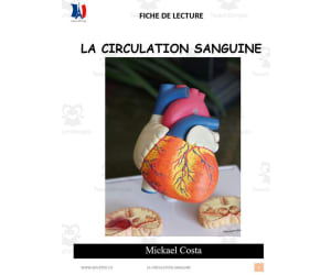 French: Reading comprehension worksheets: La circulation sanguine