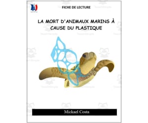 French: Reading comprehension worksheets: La mort d'animaux marins à cause du plastique