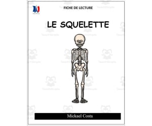 French: Reading comprehension worksheets: Le squelette