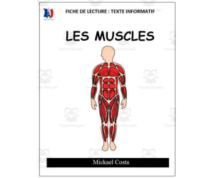 French: Reading comprehension worksheets: Les muscles