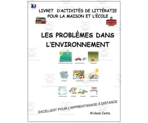 French: Reading comprehension worksheets: Les problèmes dans l'environnement