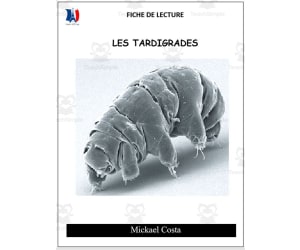 French: Reading comprehension worksheets: Tardigrade