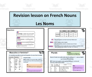French: Revision Lesson on French Nouns- Les Noms