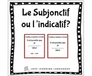 French: Subjunctive or Indicative Worksheet and Activity