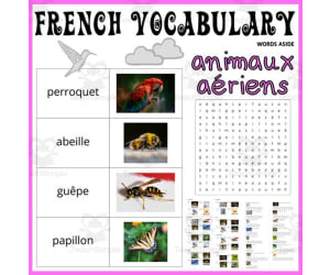 French Vocabulary Flash Cards Crossword Wordsearch Anagram AIR ANIMALS