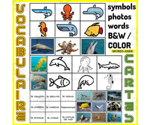 French Vocabulary Match to Sample Memory Boards SEA ANIMALS