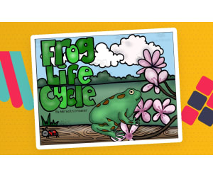 Frog Life Cycle