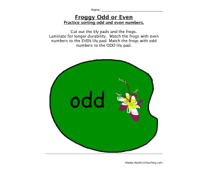 Froggy Odd Even Game