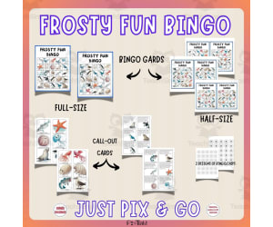 Frosty Antarctic Bingo