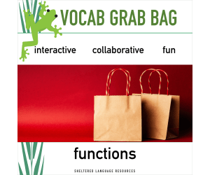 Functions - Vocabulary Grab Bag Game