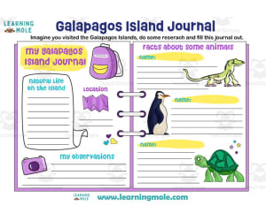 Galapagos Activity
