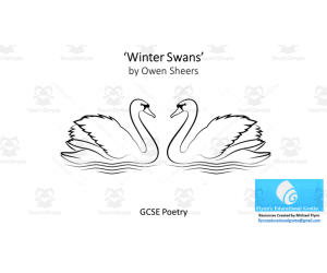 GCSE Poetry Lesson: ‘Winter Swans’ by Owen Sheers