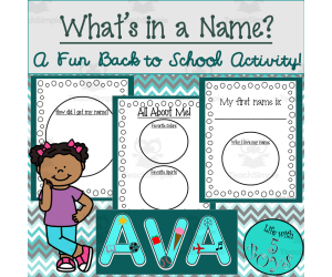 Getting to Know Students Activity: What's In a Name?