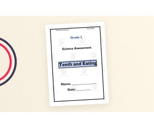 Grade 2 Teeth and Eating Science Assessment