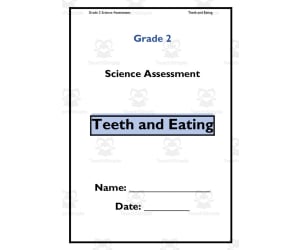 Grade 2 Teeth and Eating Science Assessment