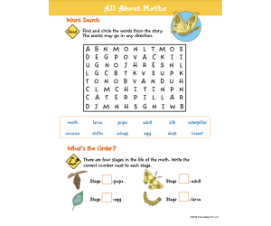 Grade 3: Reading Comprehension Volume 3 Printable Workbook