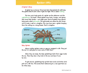 Grade 4: Reading Comprehension Volume 1 Printable Workbook