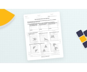 Grade 6 Transformations Review and Test