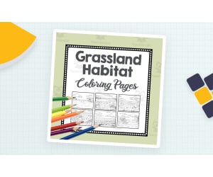 Grassland Habitat Colouring Pages – Biome Art Set