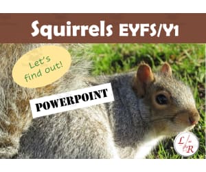 Grey Squirrel PowerPoint EYFS/Y1 (UK)