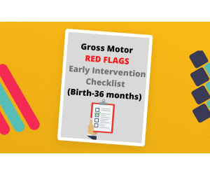 Gross Motor Red Flags: Early Intervention Checklist