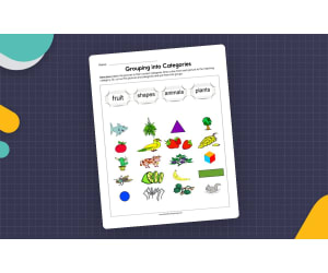 Grouping into Categories Worksheet