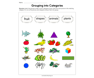 Grouping into Categories Worksheet