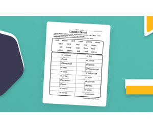 Groups of Animals Collective Nouns Worksheet