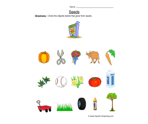 Growing from Seeds Worksheet