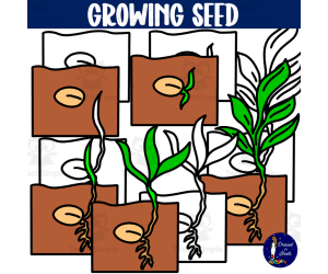 Growing Seed Clip Art