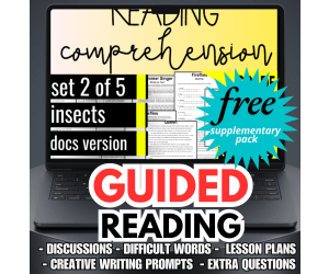 Guided Reading Activities and Lesson Plans Nonfiction Set 2 - Insects
