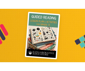 Guided Reading Lesson Plan & Activities for Grade 12