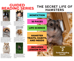 Guided Reading Level K - Secret Life of Hamsters (with Lesson Plan)
