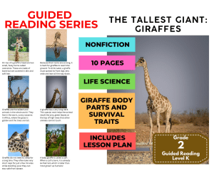 Guided Reading Level K - Tallest Giant Giraffes (with Lesson Plan)