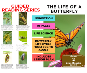 Guided Reading Level K - The Life of a Butterfly (with Lesson Plan)