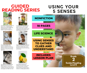 Guided Reading Level K - Using Your 5 Senses (with Lesson Plan)