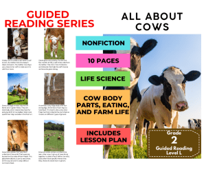 Guided Reading Level L - All About Cows (with Lesson Plan)