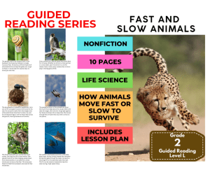 Guided Reading Level L - Fast and Slow Animals (with Lesson Plan)