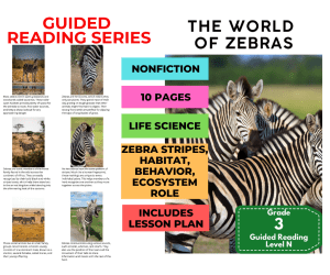 Guided Reading Level N - World of Zebras (with Lesson Plan)