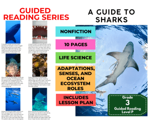 Guided Reading Level P - A Guide to Sharks (with Lesson Plan)