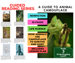 Guided Reading Level P - Animal Camouflage (with Lesson Plan)