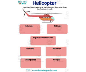 Helicopter Activity