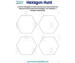 Hexagon Hunt Activity