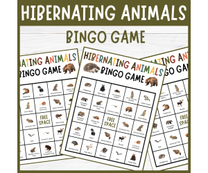 Hibernating Animal Bingo Game Fun Winter Seasonal Nature Actities