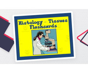Histology Tissues Flashcards