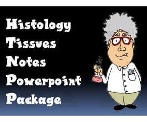Histology Tissues Notes PowerPoint Package