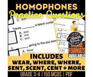 Homophones Practice Questions - Vocabulary Grade 3-4 (PDF)