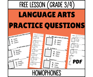 Homophones Sample - Vocabulary Grade 3-4 (PDF)