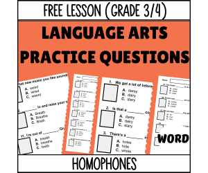 Homophones Sample - Vocabulary Grade 3-4 (Word)